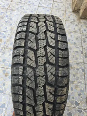 285/70r17 Winda Boto Tyre a/T Tyre