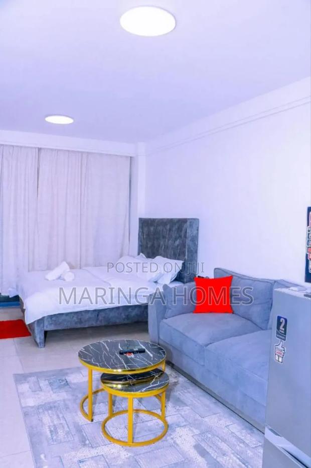 Studio BNB in Ruaka - main view