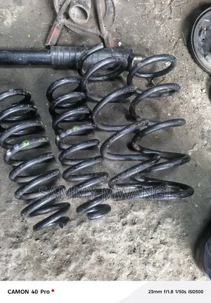 Nissan Serena 2016 Heavy Duty Coil Spring 2500