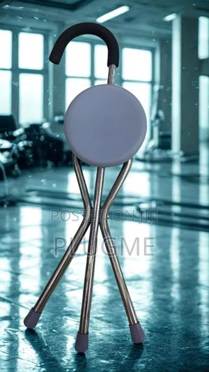 Cum Stool Walking Stick With Seat. For Elderly and Disabled. - main view