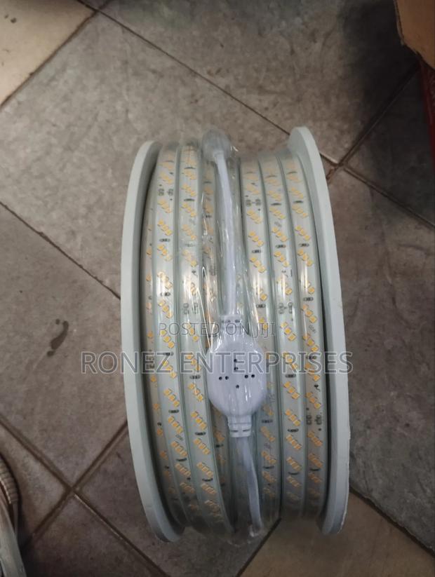 Snake Lights Warm White Tripple Line 50 MTRS