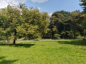 100 by 100 Fully Serviced Plots in Ngong for Sale Purely Residential - thumbnail 2