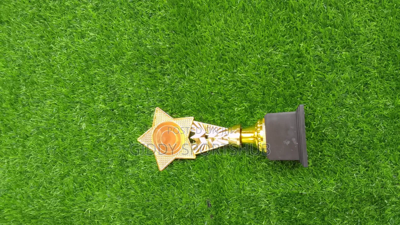 Trophy for Executive or Gift
