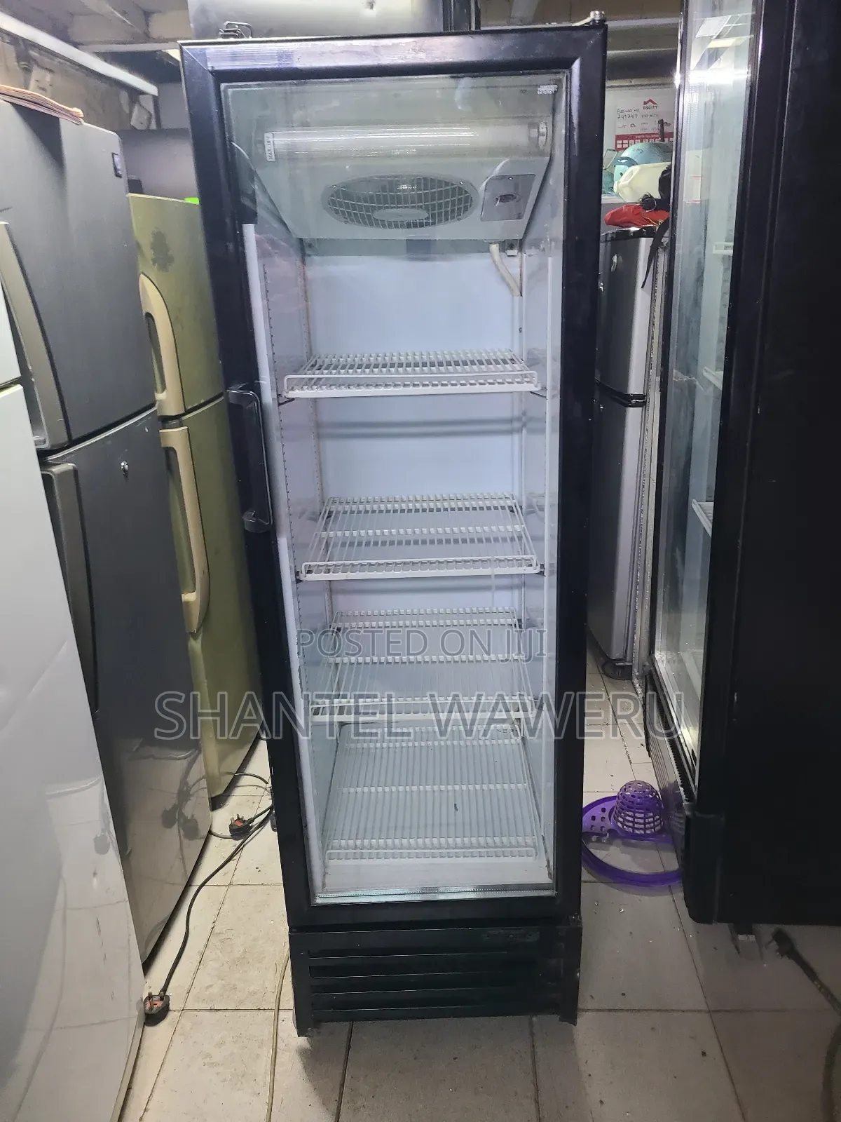 Frigolex Display Refrigerator