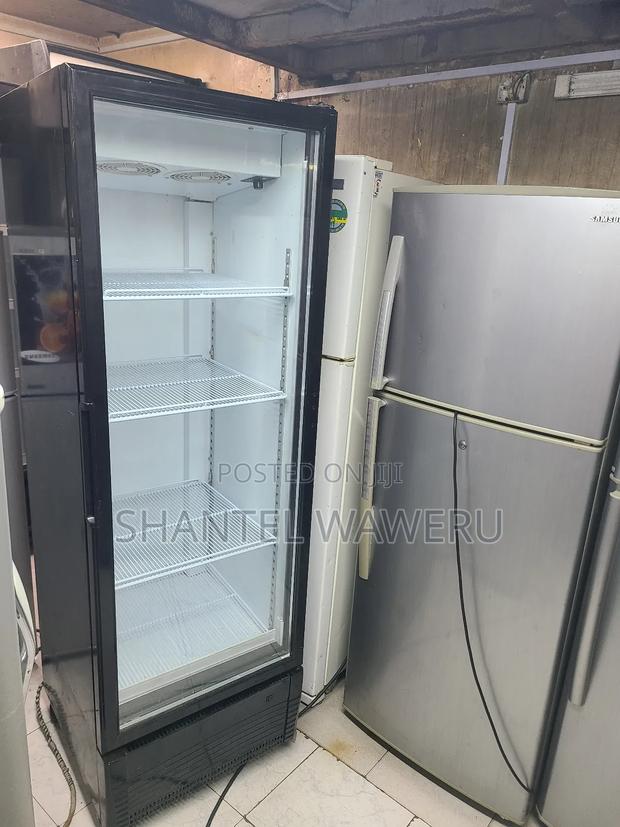 Premier Showcase Refrigerator Display One. - thumbnail 2