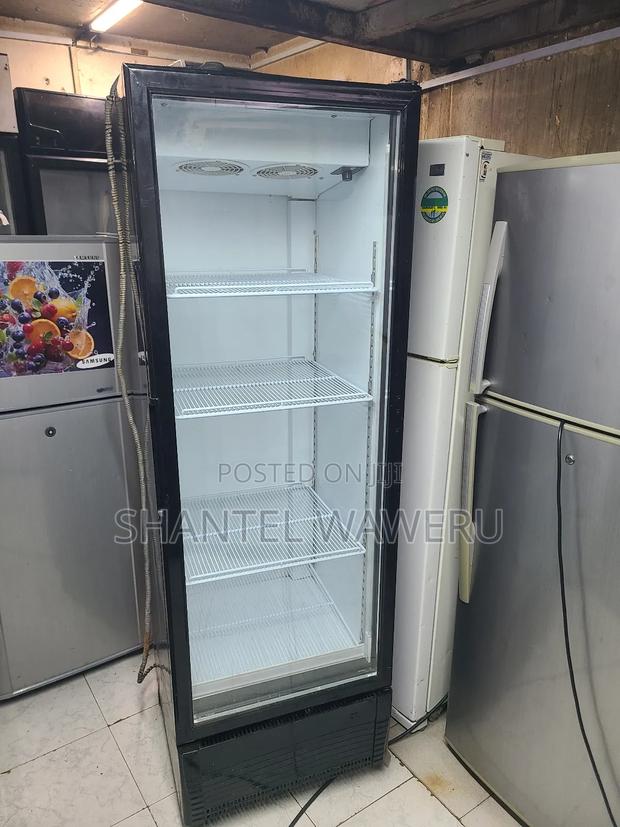 Premier Showcase Refrigerator Display One. - thumbnail 3