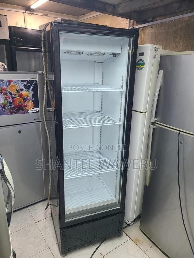 Premier Showcase Refrigerator Display One. - thumbnail 4
