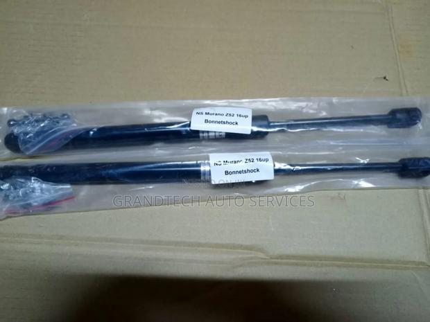 Nissan Murano Z52 Bonnet  Shocks