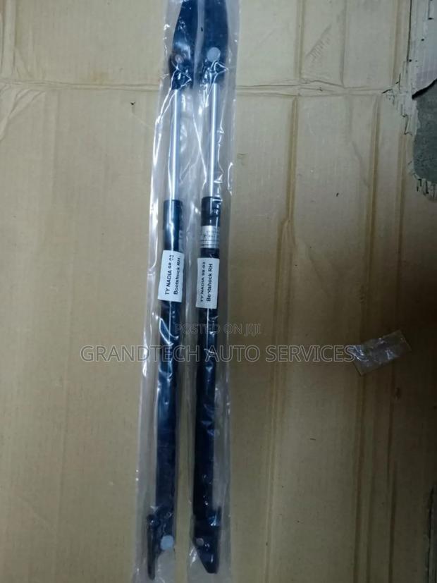 Toyota Nadia 1998-2003 Boot Shocks. - main view