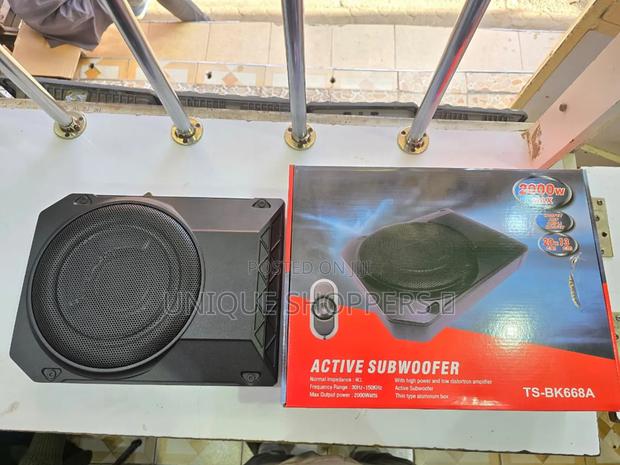 Bk668 10 Inch Underseat Subwoofer