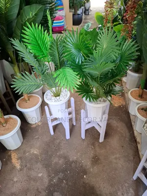 Fern Stand in Vases Decor