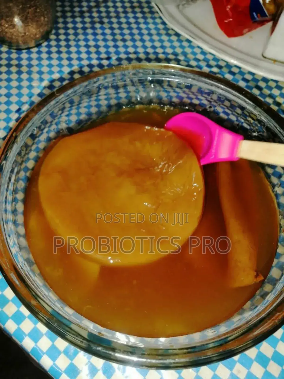 Scoby for Brewing Your Own Kombucha at Home