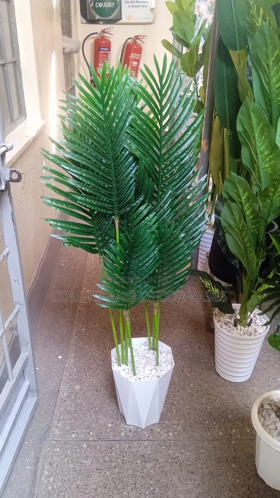 Elegant Palm Tree in Hard Plastic Vase and Pebble Stones