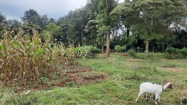 Karen 5 Acres- For Sale - main view