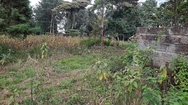 Karen 5 Acres- For Sale - thumbnail 2