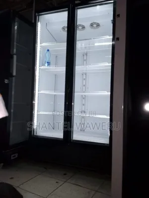 2 Door Display Refrigerator Mirror Fridge