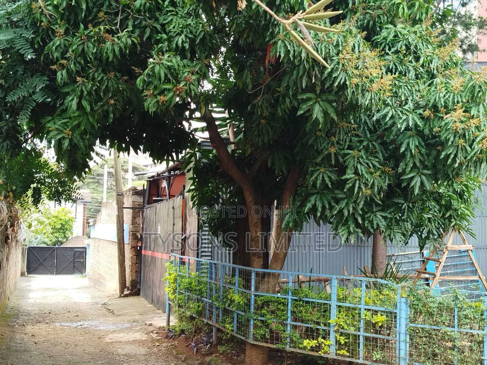 Land for Sale in Upper Hill