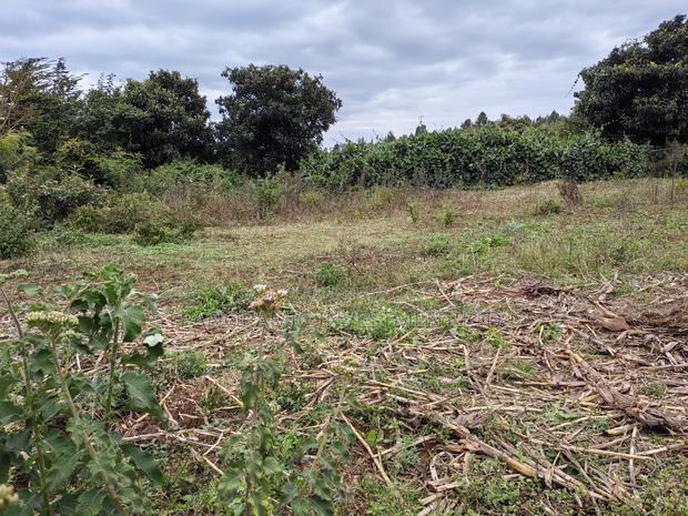 100x100 Plot for Sale In - thumbnail 3