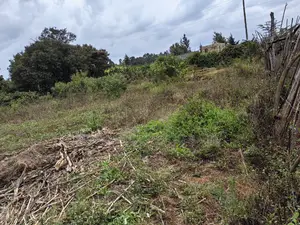 100x100 Plot for Sale in Lusegetti Kikuyu Kiambu County.