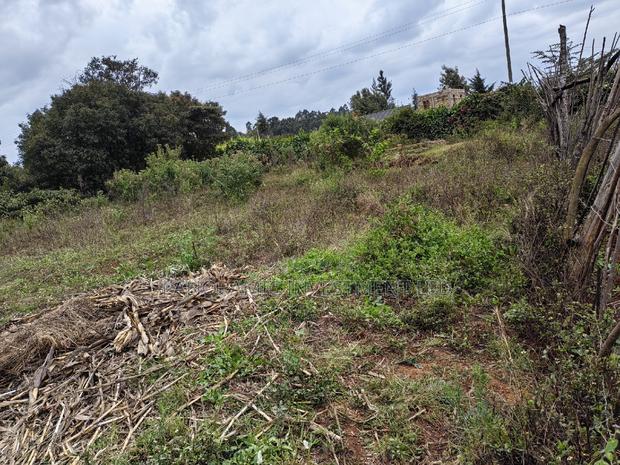 100x100 Plot for Sale In - thumbnail 5