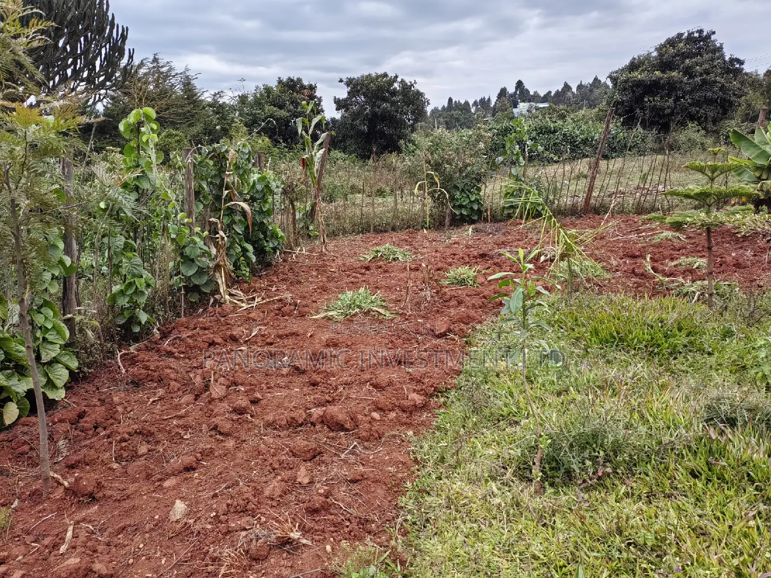 100x100 Plot for Sale in Lusegetti Kikuyu Kiambu County.