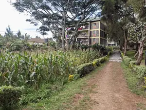 Quarter Acre for Sale in Regen Muthiga Kikuyu Kiambu County.