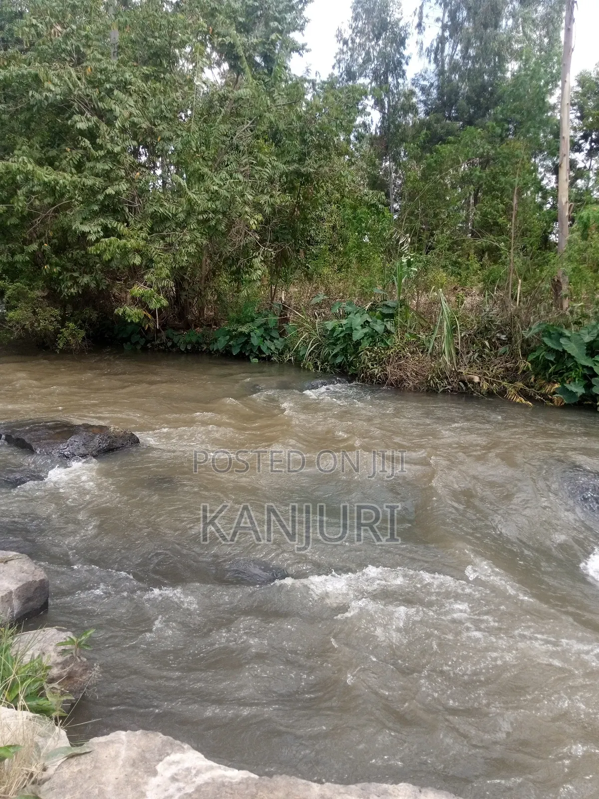 Fertile Land Ruiru