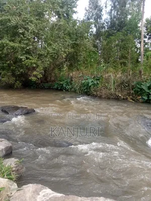 Fertile Land Ruiru