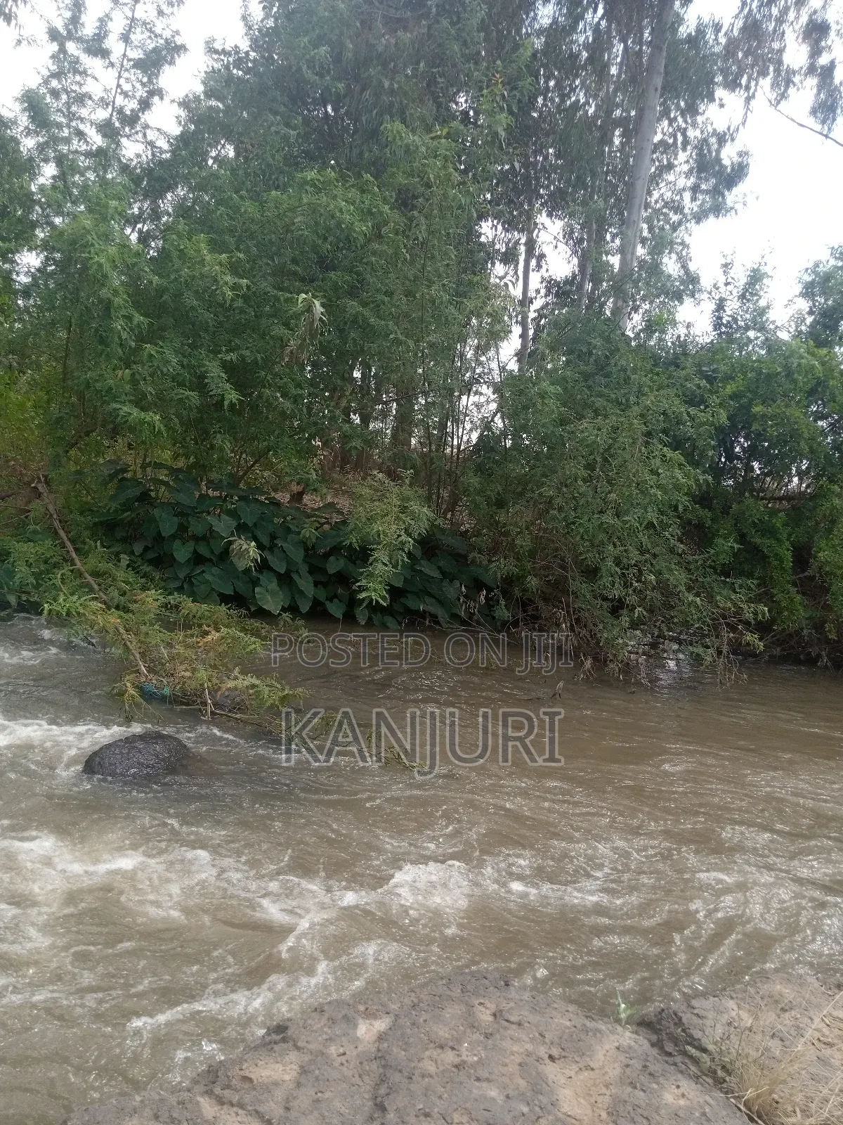 Fertile Land Ruiru