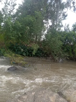 Fertile Land Ruiru