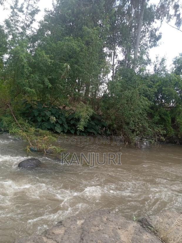 Fertile Land Ruiru - thumbnail 4