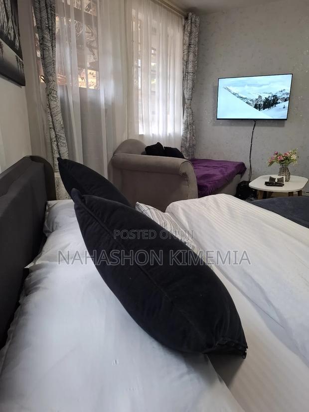 Pocket Friendly Studio BNB TRM Drive Roysambu Thika Road Nairobi Kenya - thumbnail 3