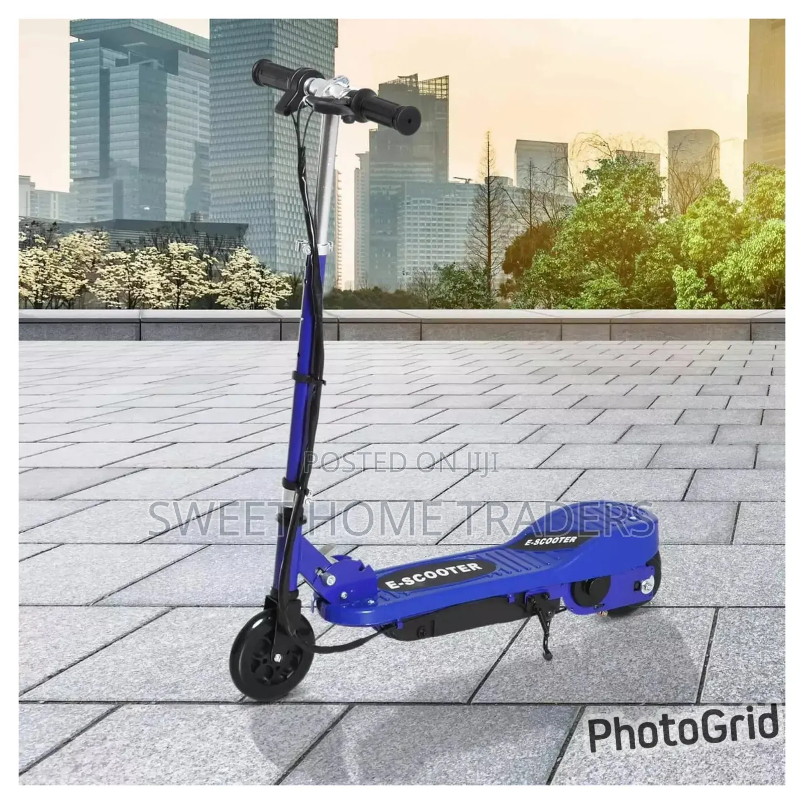 Folding Electric Scooter 