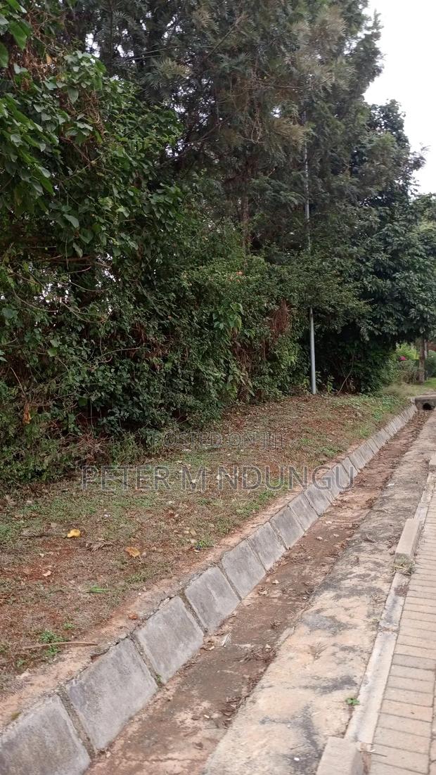 Thome Residential Plot on Sale - thumbnail 2