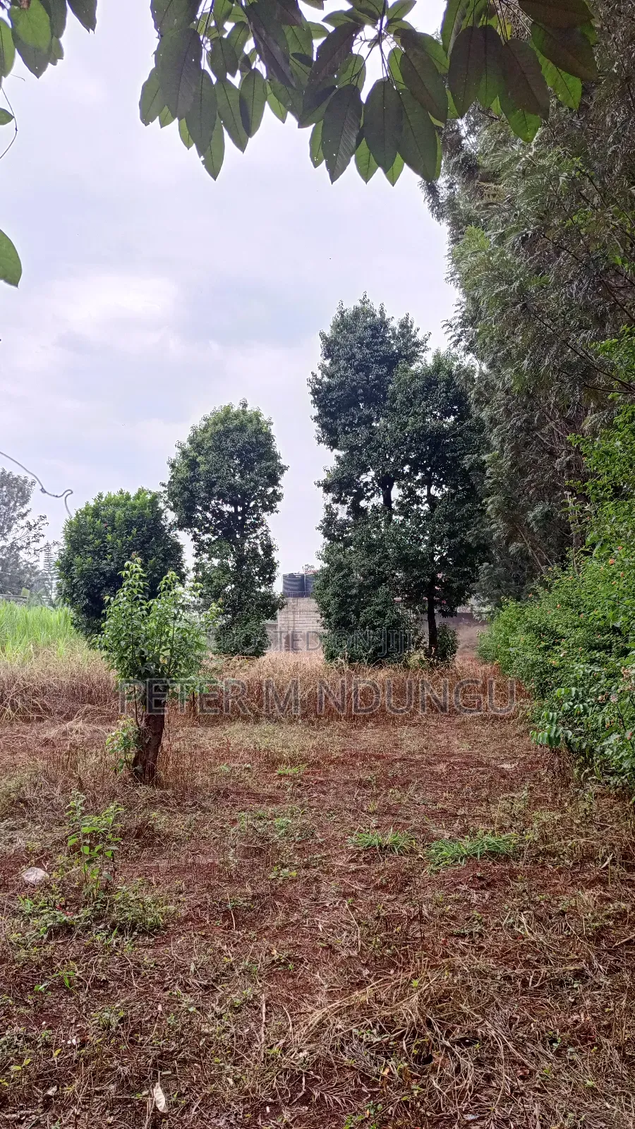 Thome Residential Plot on Sale