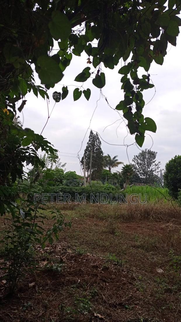 Thome Residential Plot on Sale - thumbnail 6