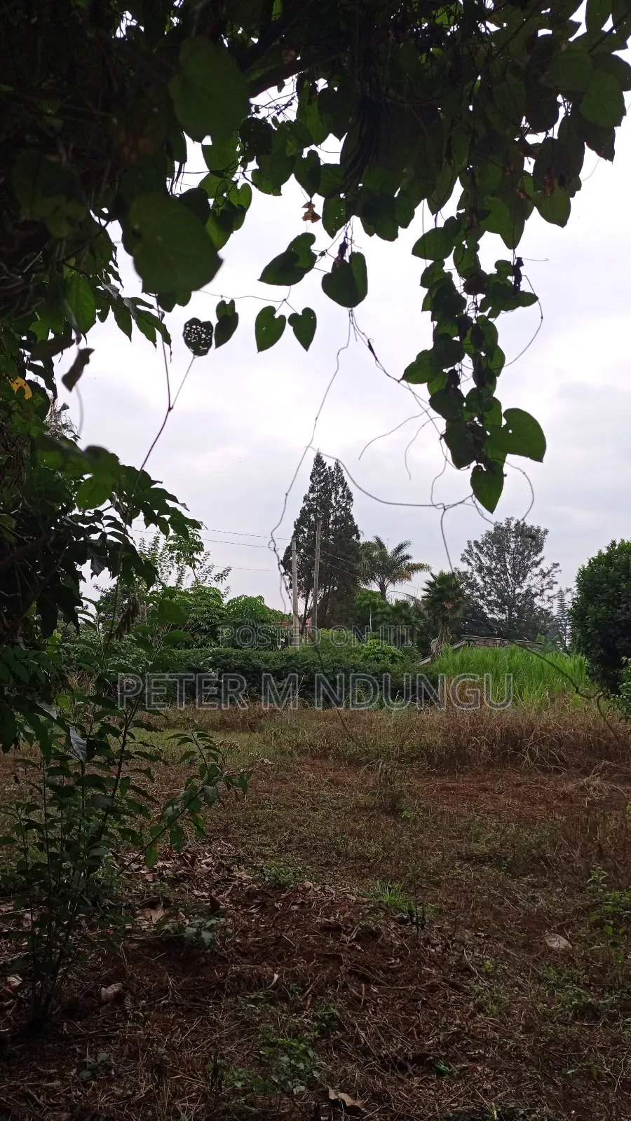 Thome Residential Plot on Sale