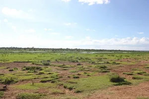 Plot Land for Sale in Nanyuki