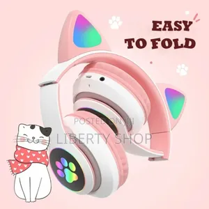 Cats Kids Bluetooth Headphones