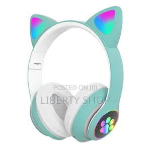 Cats Kids Bluetooth Headphones