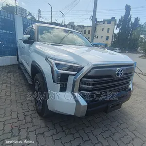 New Nissan Terrano 2024 White