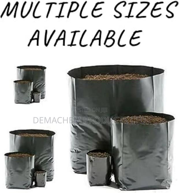 Seedling Bags Packs of 100pcs