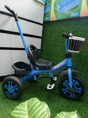 Smart Push Tricycle