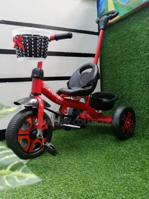 Tiny Tricycle for Kids