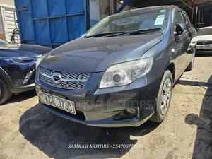 Toyota Axio 2011 Gray