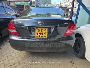 Toyota Axio 2011 Gray