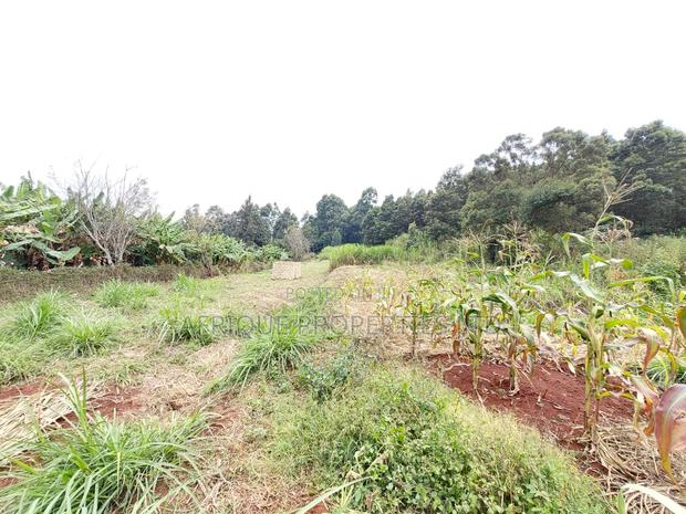 Kikuyu Residential Plots 50 X 100 Plots for Sale - thumbnail 2
