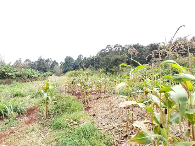 Kikuyu Residential Plots 50 X 100 Plots for Sale - thumbnail 3