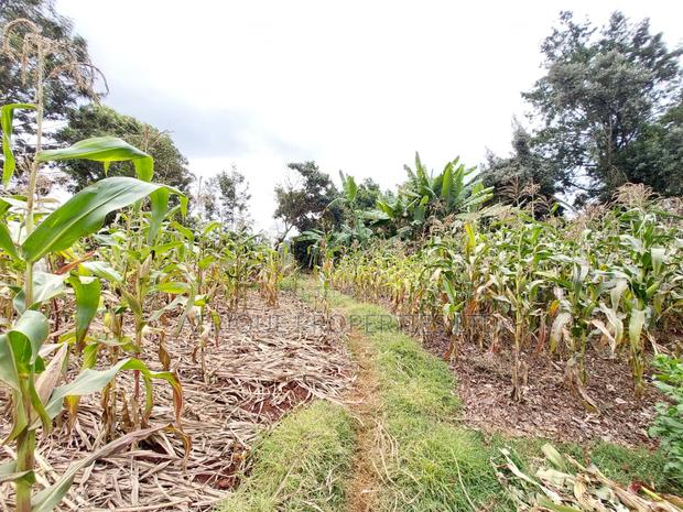 Kikuyu Residential Plots 50 X 100 Plots for Sale - main view