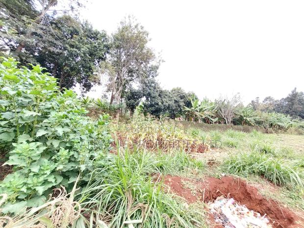 Kikuyu Residential Plots 50 X 100 Plots for Sale - thumbnail 8